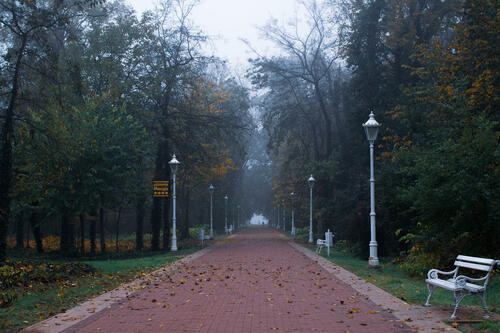 Palic walkway